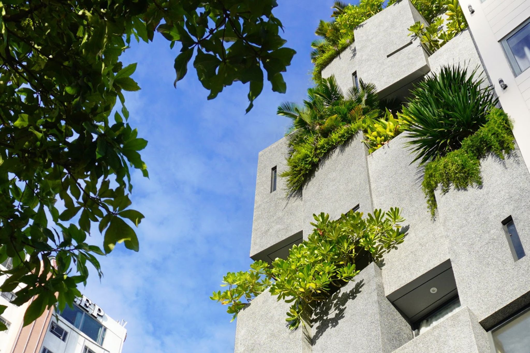 Phân tích thiết kế khách sạn Shelter Stay Đà Nẵng